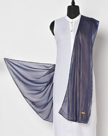 Shimmer Chiffon Dupatta