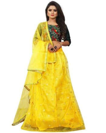 Embellished Flared Lehenga Choli Set with Dupatta