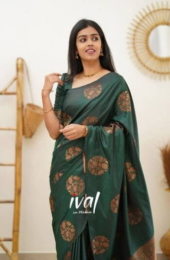 Embellished Bollywood Tissue, Pure Silk Saree