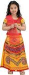 BookMyCostume Radha Gujarat Garba Navratri Indian State Fancy Dress Costume for Girls and Women - Without Jewellery 14-16 Years/Adult S Multicolour