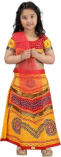 BookMyCostume Radha Gujarat Garba Navratri Indian State Fancy Dress Costume for Girls and Women - Without Jewellery 14-16 Years/Adult S Multicolour